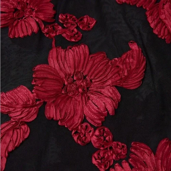 Anewsta Elegant Black and Red Floral Dress - Picture 9 of 14